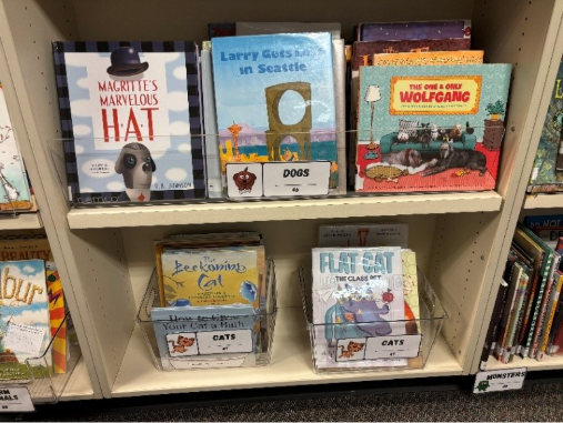 lib new 1