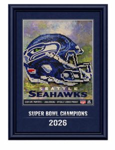 Class Project – Seahawks Diamond Painting (Newell)