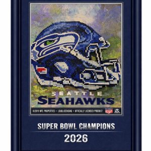 Class Project - Seahawks Diamond Painting (Newell)